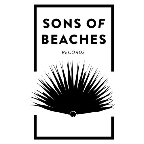 Sons Of Beaches Records