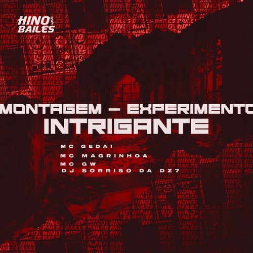 Montagem - Experimento Intrigante