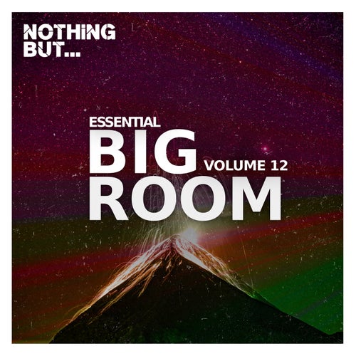 Cover art for Nothing But... Essential Big Room, Vol. 12