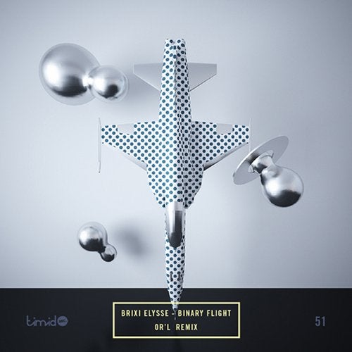 Cover art for Binary Flight