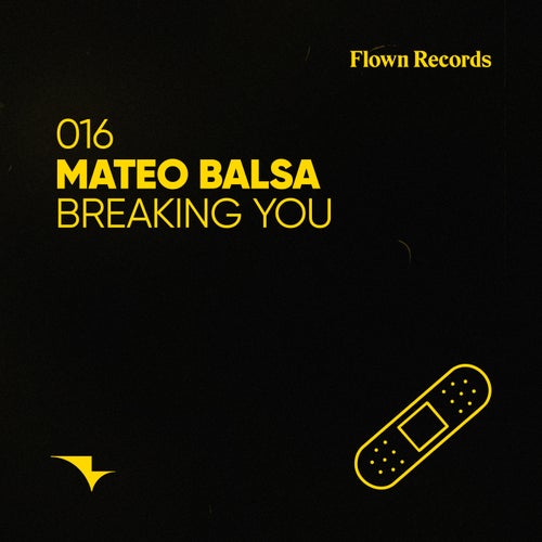 Breaking You