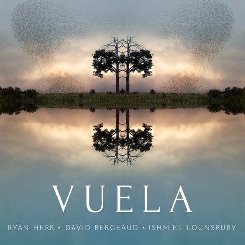 Vuela