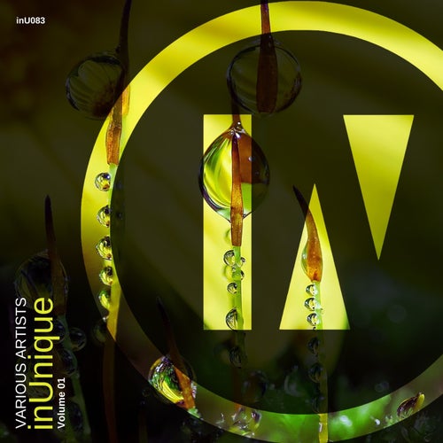 inUnique, Vol. 1