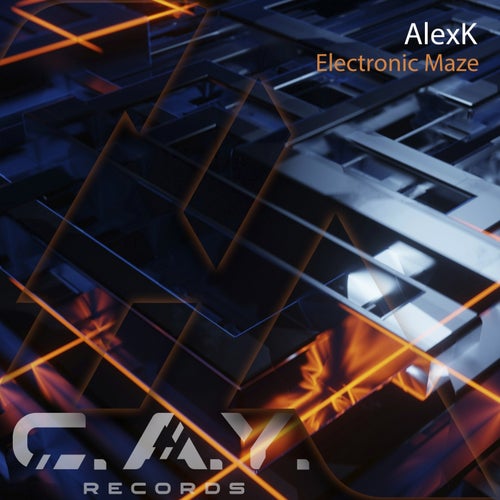 Electronic Maze