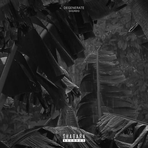 Cover art for Degenerate