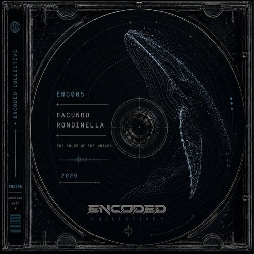The Pulse Of The Whales