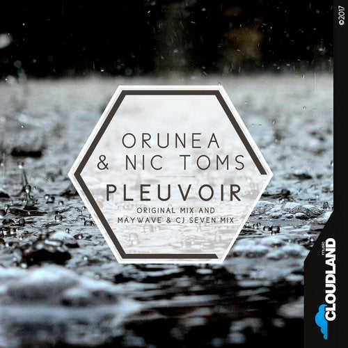 Cover art for Pleuvoir