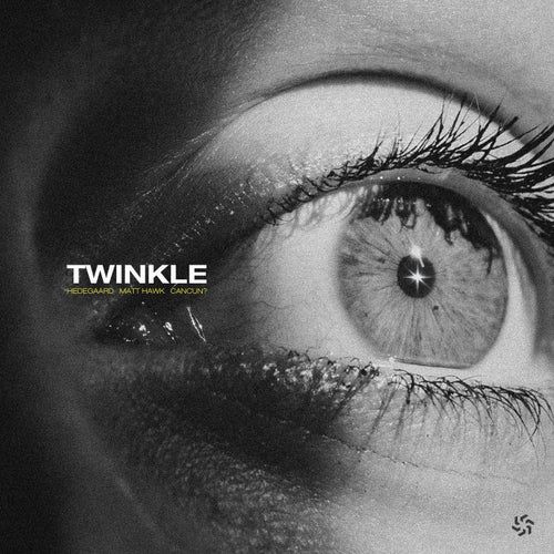 TWINKLE (Extended Mix)