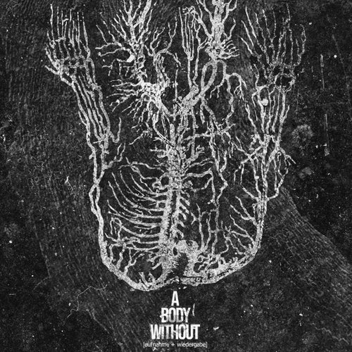 A Body Without