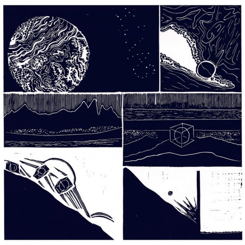 Organism 2