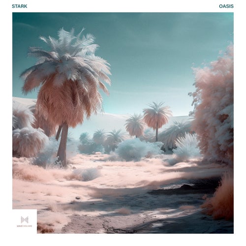 Oasis