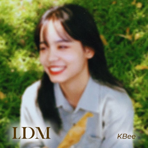 LDM