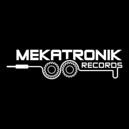 Mekatronik Records