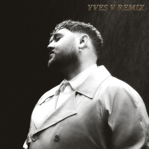 Fall in Your Arms (Remix)
