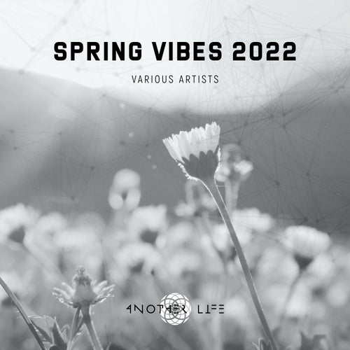 Spring Vibes 2022