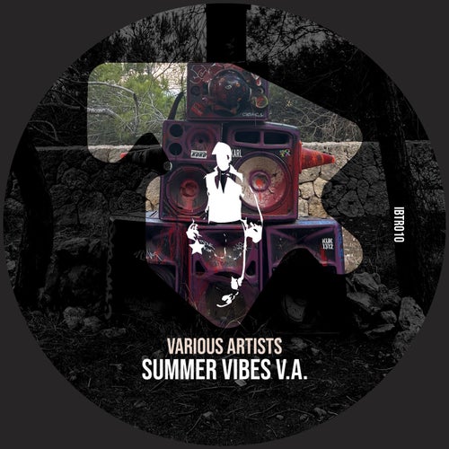 Cover art for Summer Vibes V. A.
