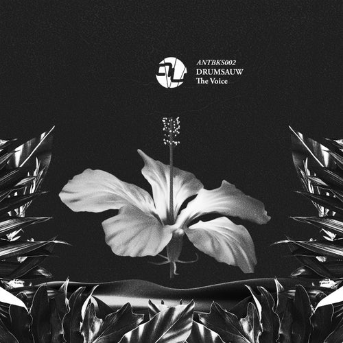 Cover art for The Voice