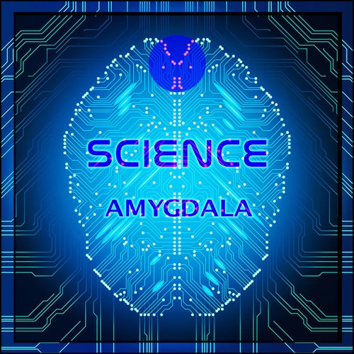 Amygdala