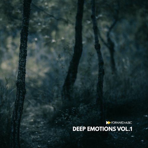 Cover art for Deep Emotions, Vol. 1
