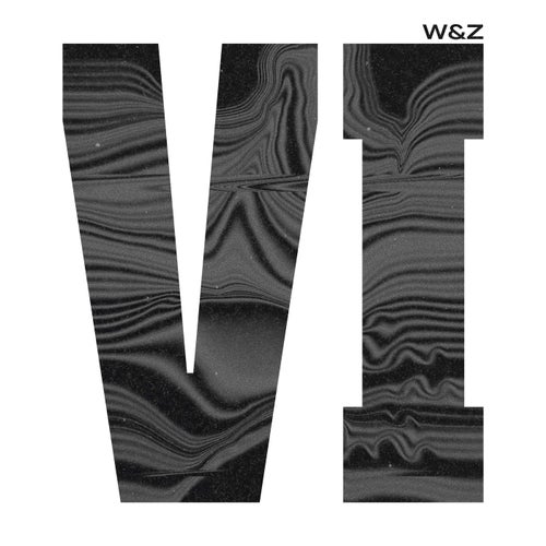 Vi