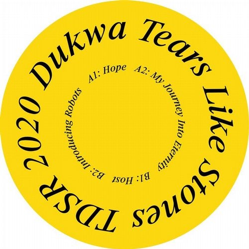Cover art for Tears Like Stones