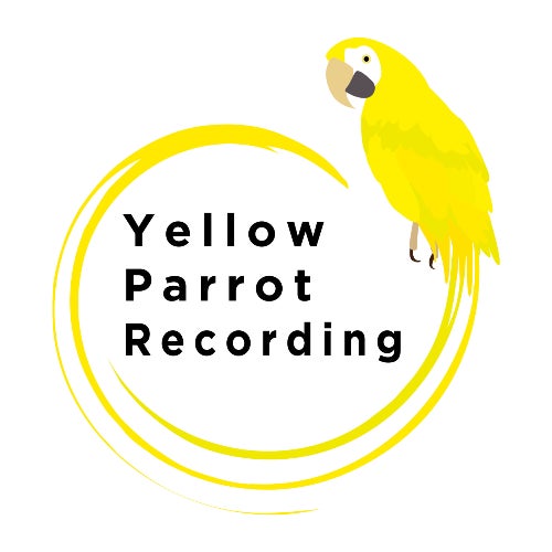 Yellow Parrot Recording