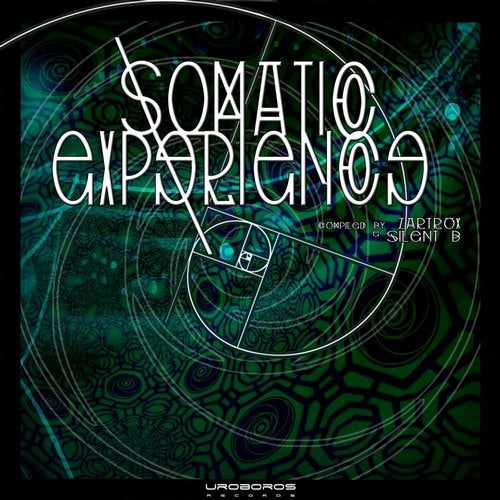 Cover art for Somatic Experience