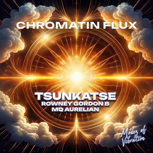 Chromatin Flux
