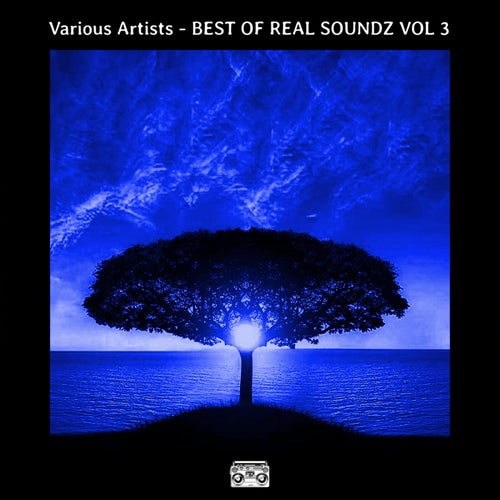 Cover art for BEST OF REAL SOUNDZ VOL 3