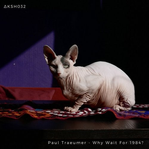 Cover art for Why Wait for 1984?