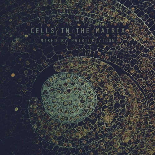 Cells In The Matrix - Mixed By Patrick Zigon