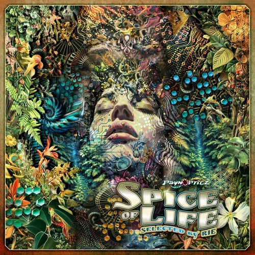 Spice of Life (Selected by Rie)