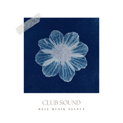 VA - CLUB SOUND RM353