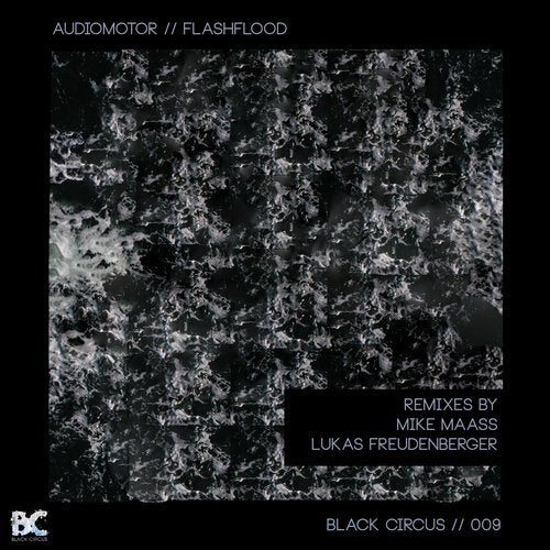Cover art for Flashflood