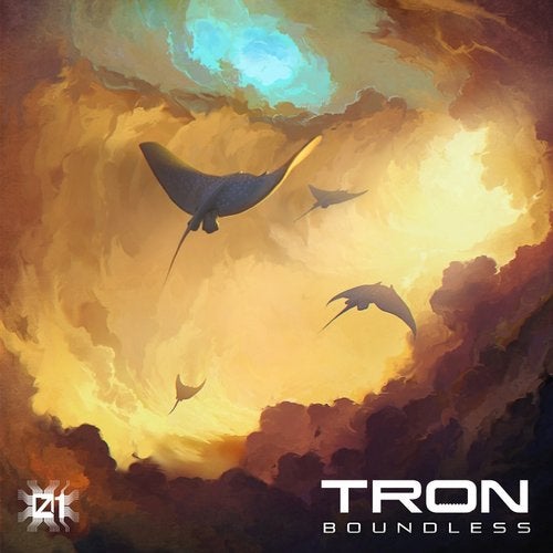 Cover art for Boundless