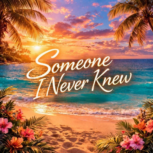Someone I Never Knew