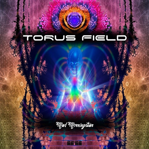 Torus Field
