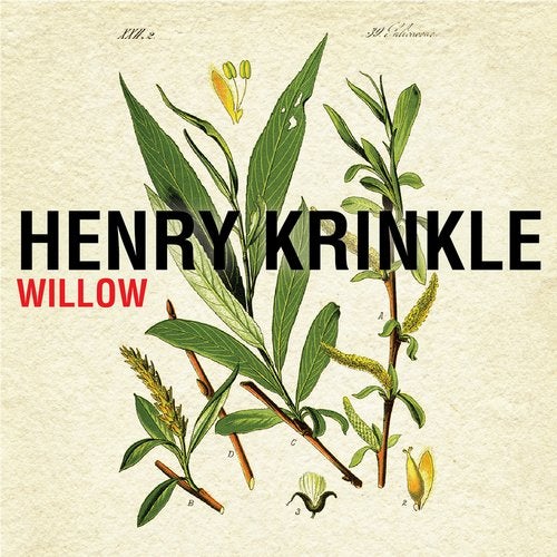 Cover art for Willow