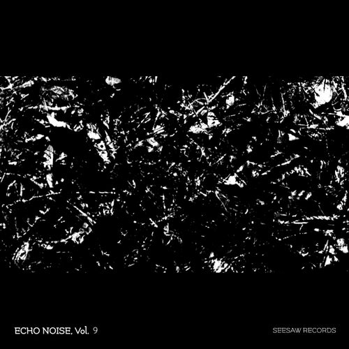 Echo Noise, Vol. 9 [Seesaw Records]