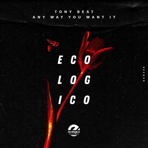 Any Way You Want It (Original Mix)