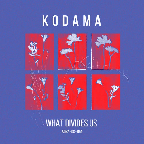 What Divides Us