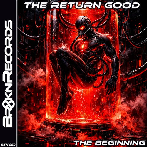 The Beginning