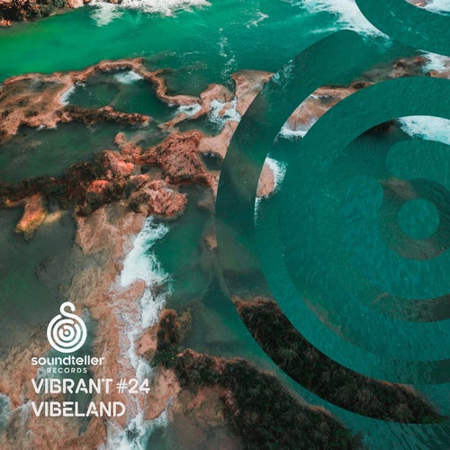 Vibrant Vibeland #24 ST416