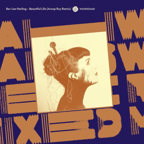 Beautiful Life (Aroop Roy Remixes)