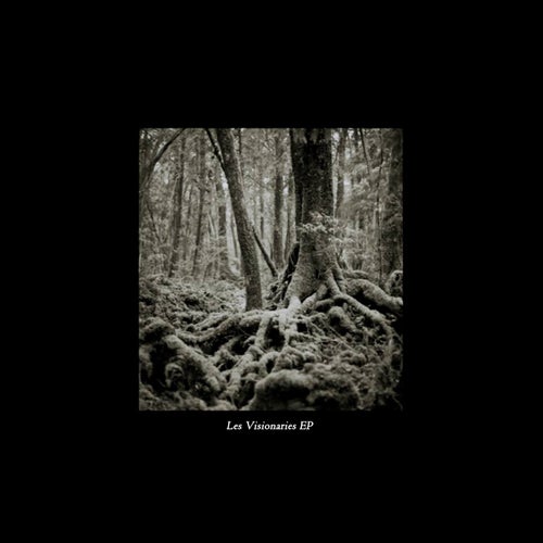 Les Visionaries EP