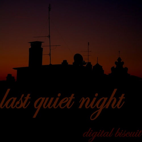 Last Quiet Night
