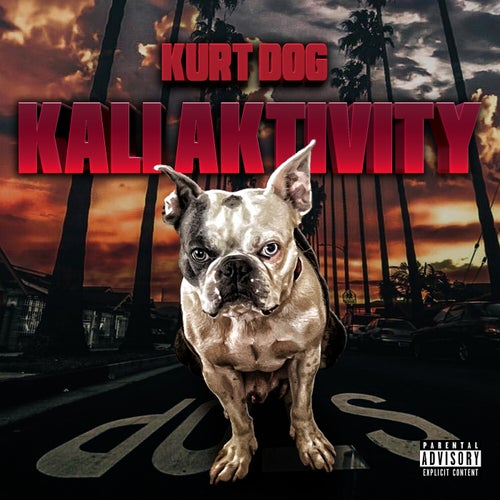 KALI AKTIVITY