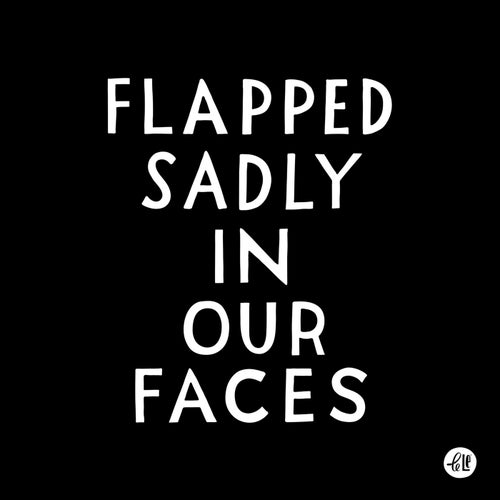 Flapped Sadly in Our Faces