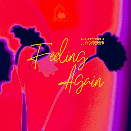 Feeling Again