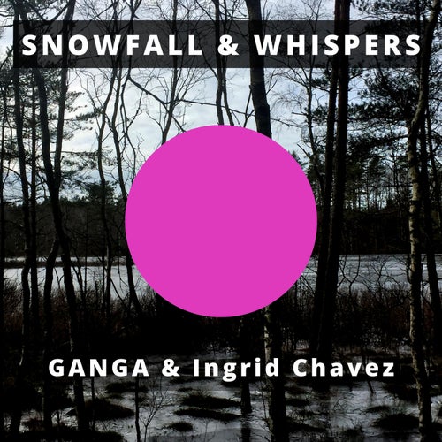 Snowfall & Whispers